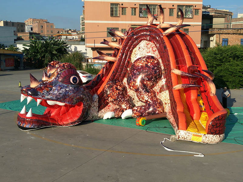 dragon inflatable slide