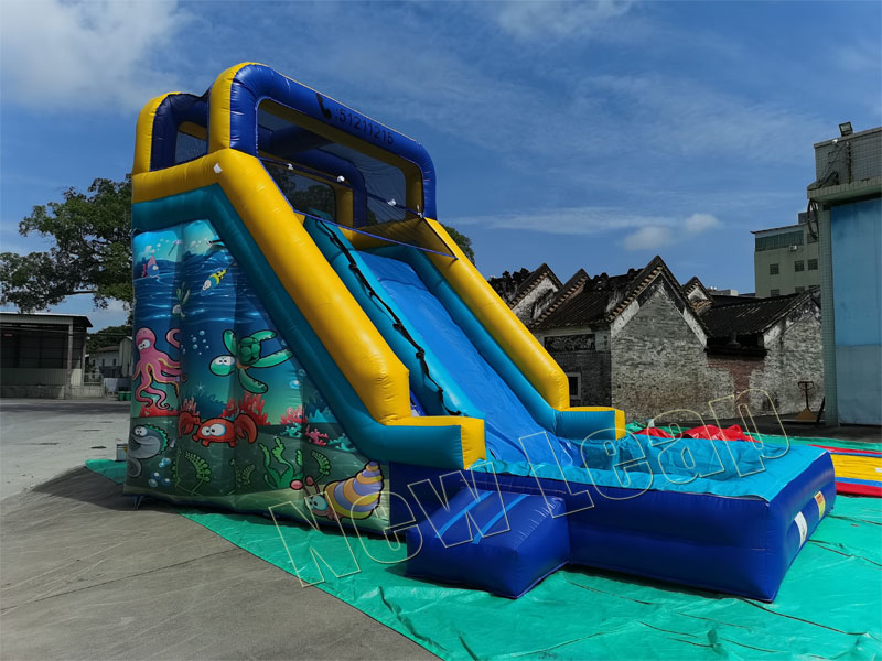 theme inflatable water slide