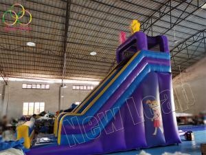 newleap factory inflatable dry slide